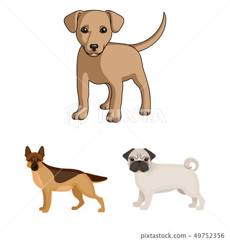 Isolated object of animal and habitat symbol. Set of animal and farm stock symbol for web. 49752356
