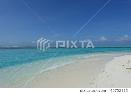 Clear Blue Beach (Maldives) 49752515