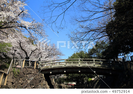 Oon Spring Otonashi River water park cherry blossoms Oon Spring Otonashi River water park cherry blossoms 49752914