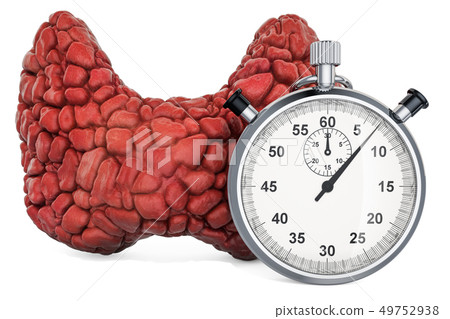 Human thyroid with stopwatch 49752938
