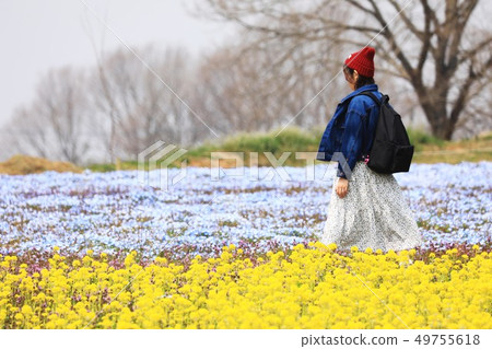 花田323 花田323 49755618
