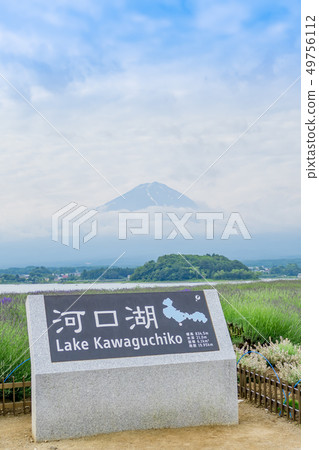 [川口薰衣草湖] 49756112