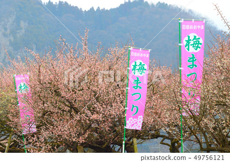 小山梅花園 小山梅花園 49756121