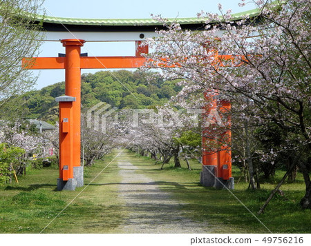 新田神社（Satsuma Kuni Ichi no Miya）附近 49756216
