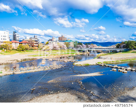Kyoto Kamogawa Delta in spring Kyoto Kamogawa Delta in spring 49756574