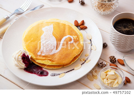 cat with pancake