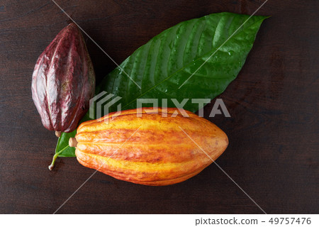 Chocolate raw fruits 49757476