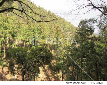 Mountain of spring 49758606