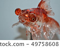 Goldfish 49758608