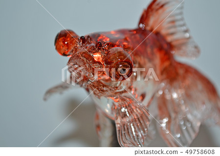 Goldfish 49758608