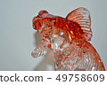 Goldfish 49758609
