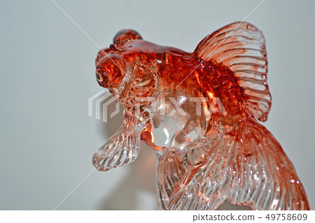 Goldfish 49758609