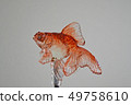 Goldfish 49758610