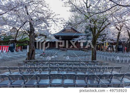 靖國神社的櫻花 靖國神社的櫻花 49758920