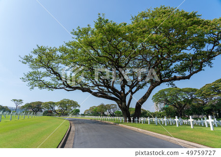 墳墓 墓 墳 49759727