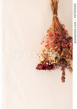 乾燥花，古董，內部，情感內部，牆紙 49760889