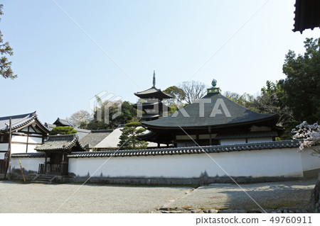 Taimadera Taimadera 49760911