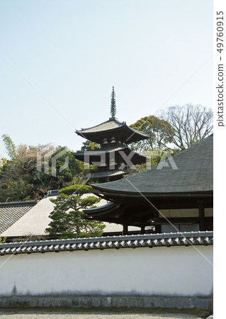 Taimadera Taimadera 49760915