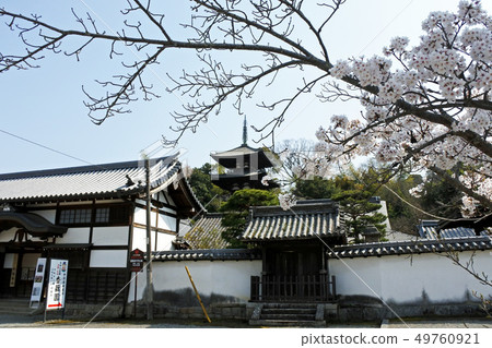 Taimadera Taimadera 49760921