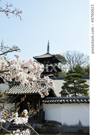 Temple Temple 49760923