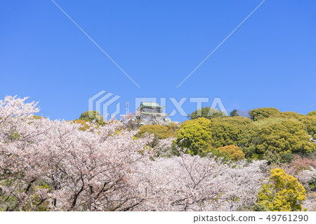 小牧和小牧城堡和櫻花視圖 小牧和小牧城堡和櫻花視圖 49761290