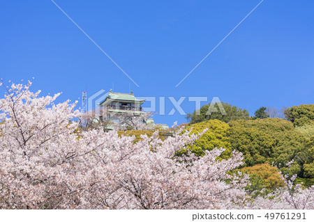 小牧和小牧城堡和櫻花視圖 小牧和小牧城堡和櫻花視圖 49761291