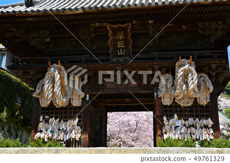 Saigokuji 49761329