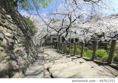Otonashi Shinsui Park (Otonashi Shin Suikoen) Kita-ku, Tokyo 49761351