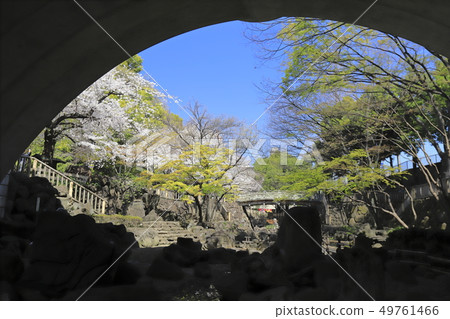 從Otonashi親水公園北區,東京看到的Otonashi橋(Otenashibashi) 從Otonashi親水公園北區,東京看到的Otonashi橋(Otenashibashi) 49761466