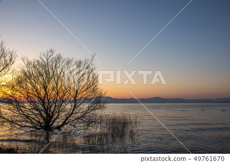 琵琶湖的日出 49761670