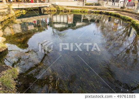 Oshino Hakkai 49761885