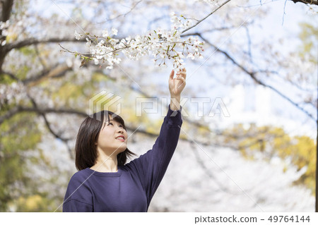 Women who appreciate cherry blossoms 49764144