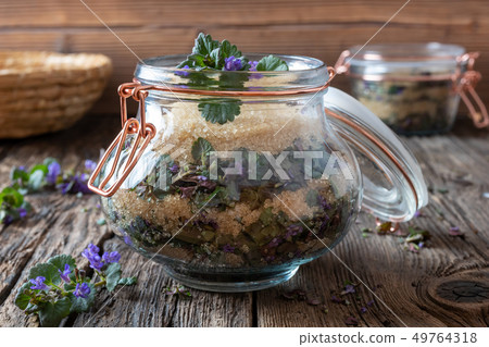 Preparation of ground-ivy herbal syrup  49764318