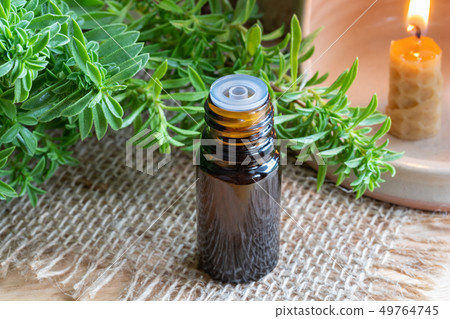A bottle of mountain savory essential oil  49764745