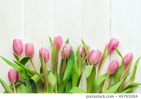 Spring flower. Bunch of Pink tulips place on white 49765084