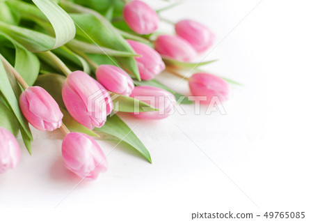 Spring flower. Bunch of Pink tulips place on white Spring flower. Bunch of Pink tulips place on white 49765085