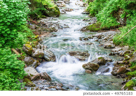 Forest mountain river running over rocks Forest mountain river running over rocks 49765183