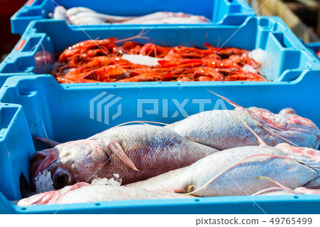 Containers with catch sea fish delicacies Blanes Containers with catch sea fish delicacies Blanes 49765499