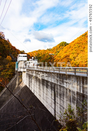 Tree tree dam Tree tree dam 49765592