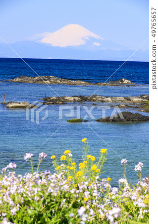 Arasaki（春天） 49765657