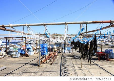 Arasaki (spring) Arasaki (spring) 49765675