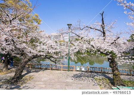 名古屋市昭和區鶴舞公園龍宮和名古屋大學醫院和佐倉 49766013