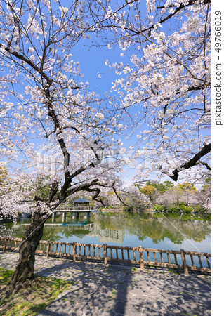 名古屋市昭和區鶴舞公園龍宮和名古屋大學醫院和佐倉 49766019