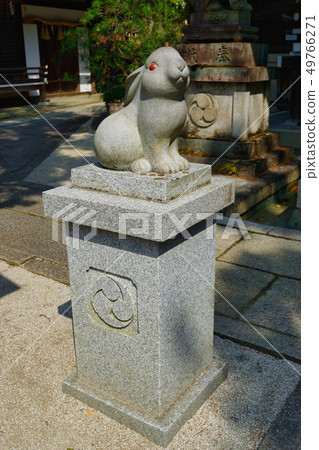 岡崎神社的兔子(京都) 岡崎神社的兔子(京都) 49766271