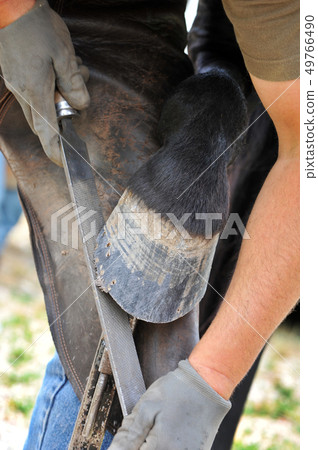 farrier farrier 49766490