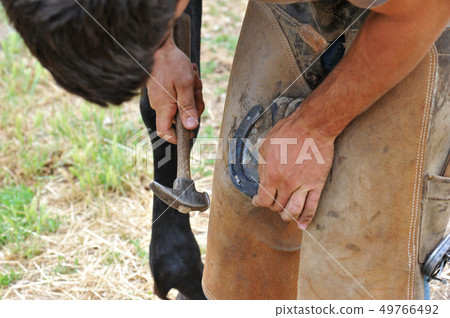 farrier farrier 49766492
