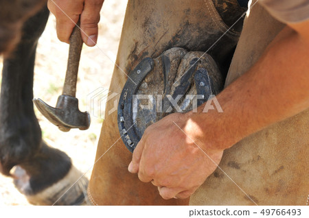 farrier farrier 49766493
