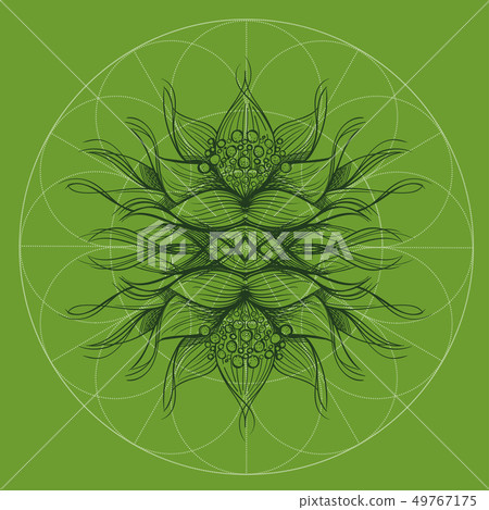 Elegant element of a stylized flower with smooth lines. Stylized floral element for design. Elegant element of a stylized flower with smooth lines. Stylized floral element for design. 49767175