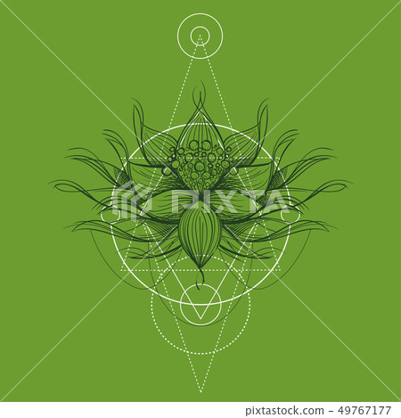 Elegant element of a stylized flower with smooth lines. Stylized floral element for design. 49767177