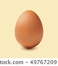 Brown egg on a beige background 49767209